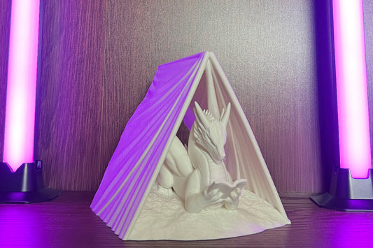 The Scholar of Hidden Realms - Dragon Book Holder